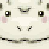 サラマンダー MFL