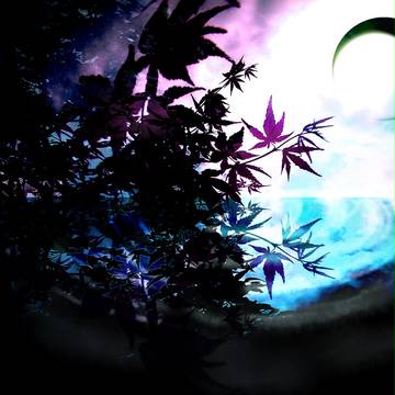 【フリー素材】詰め合わせ