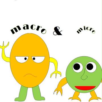 MACRO & MICRO