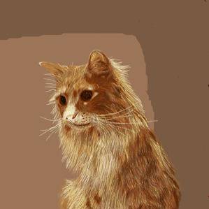 猫絵