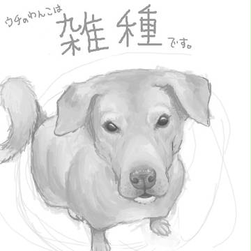 （∪＾ω＾）