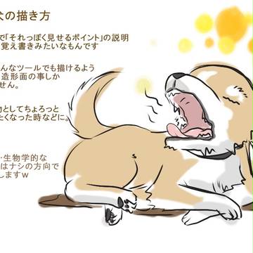 【形の特徴】犬の描き方【毛の特徴】