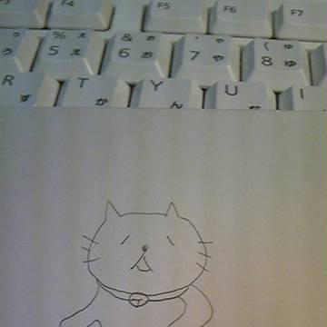 ねこ