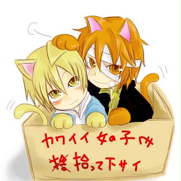 可愛い子に拾われ隊