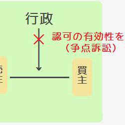 争点訴訟
