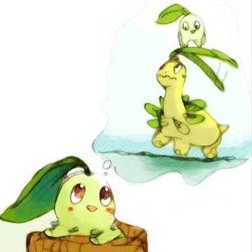 チコとベイ