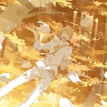 光の君