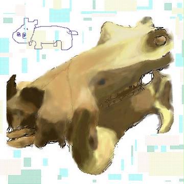 頭骨