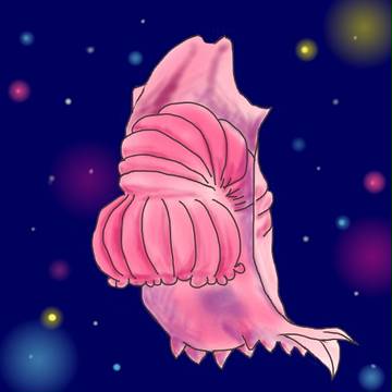 オケサナマコ