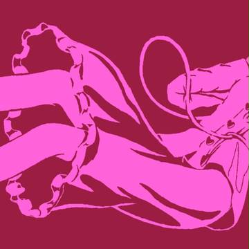 ｻﾄﾘｻﾏｰ