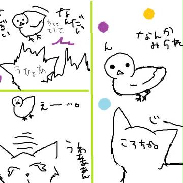 ころちか。