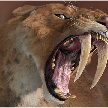 SMILODON