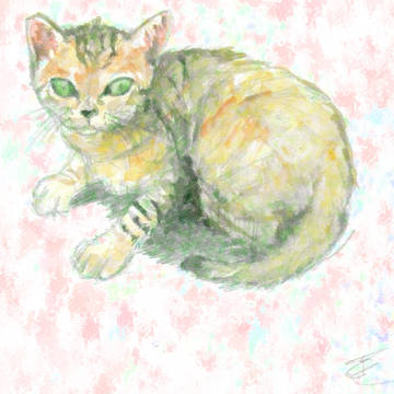 俺に警戒する猫