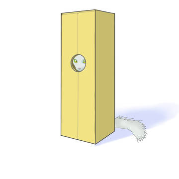 縦ダンボール猫