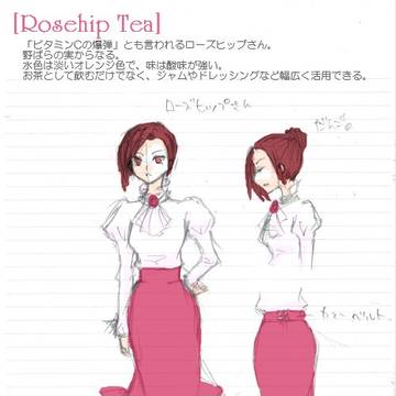 【ぴくお茶】ローズヒップティー