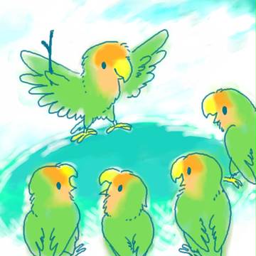 インコーラス