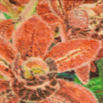 蘭花