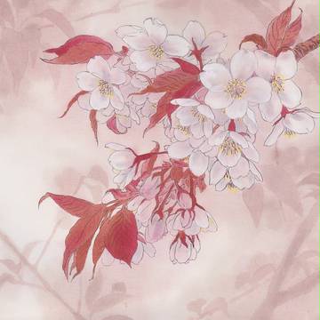 山桜