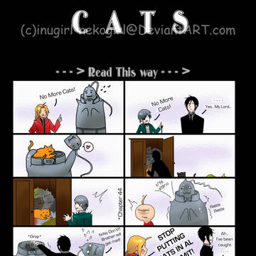 CATS