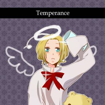 １４．ＴＥＭＰＥＲＡＮＣＥ(節制)
