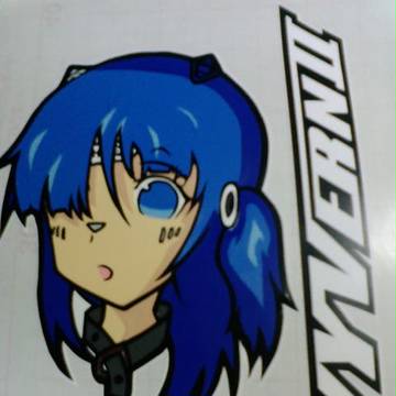 SHOEI ワイバーンたん　ステ化