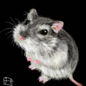 もここ