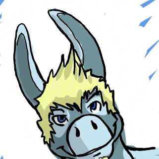 Donkey