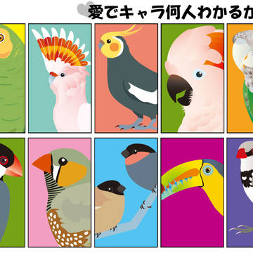 ８割わかったらあなたと私は友達