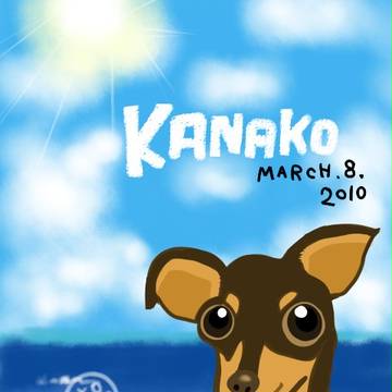 かなこ