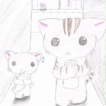 ニャンコの生活