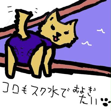 スク水コロ