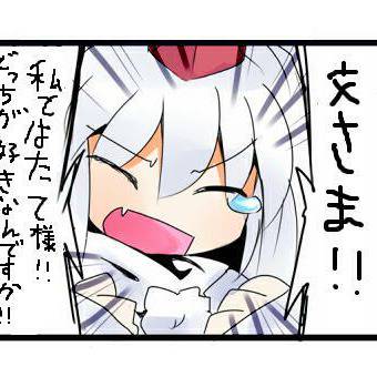 犬走椛が物申す!