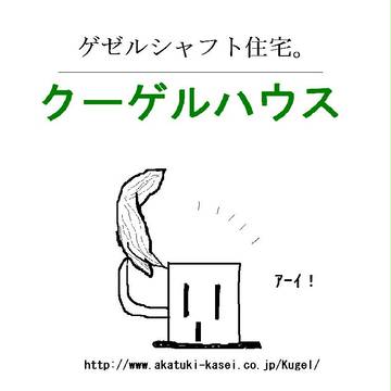 クーゲル君
