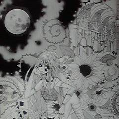 骸骨