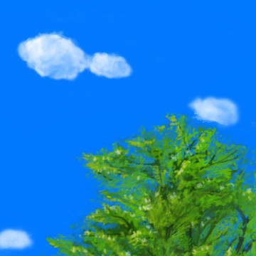 木