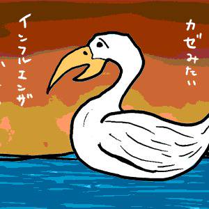 なんだか風邪みたい