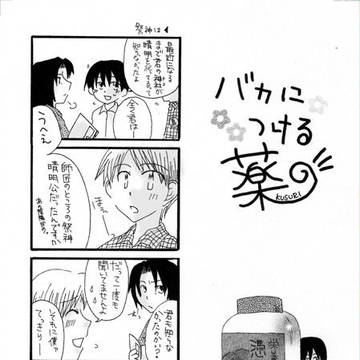 バカにつける薬