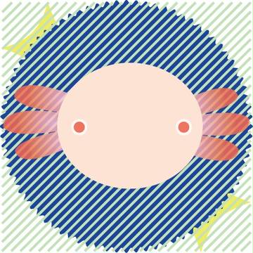 ウパウパ！