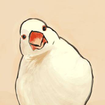 文鳥