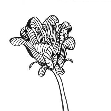 花