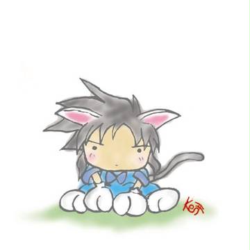 ねこきぃ