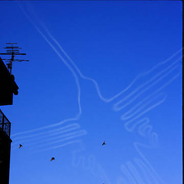 Colibri in the Sky