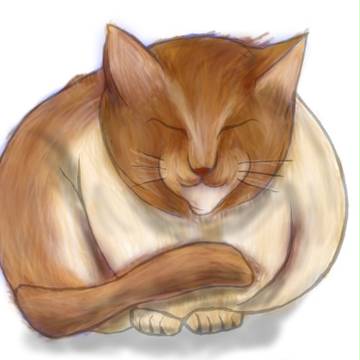 ねこ