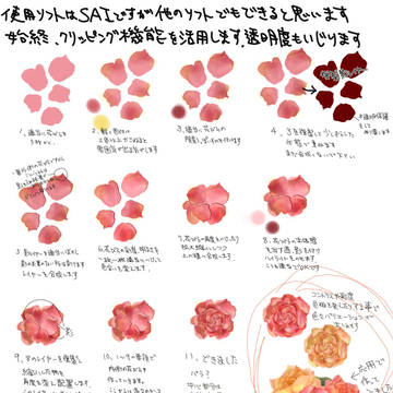 八重咲き風薔薇を描いてみた