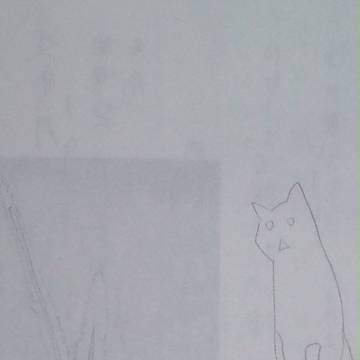 なんという白