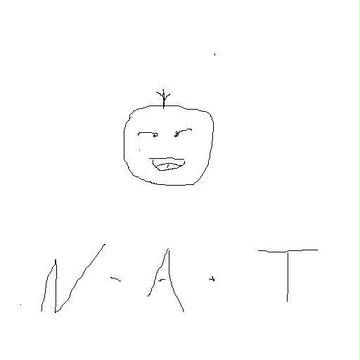 N ・A・T