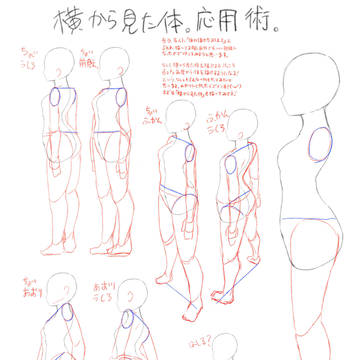 横から見た体