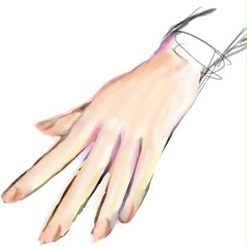 模写　手