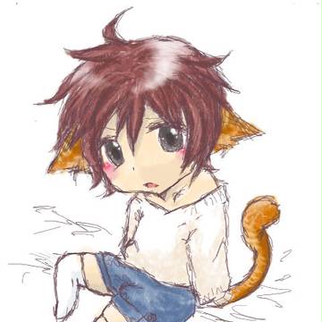 猫少年