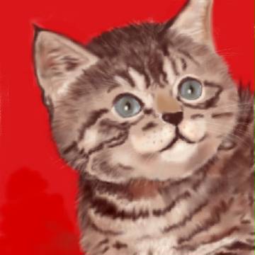 うちの猫(幼少期愛理)